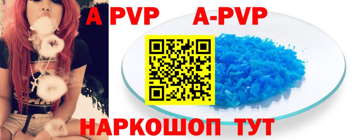 А ПВП СК КРИС Балтийск