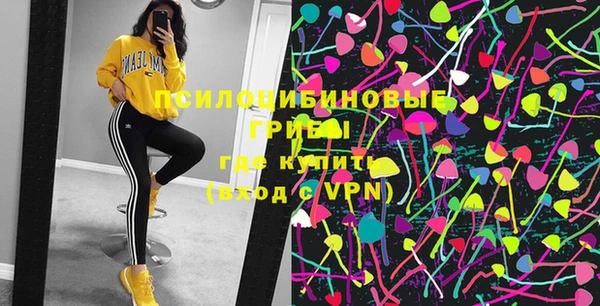 apvp Новозыбков