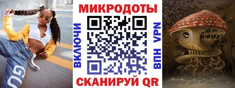 Галлюциногенные грибы Psilocybine cubensis Балтийск