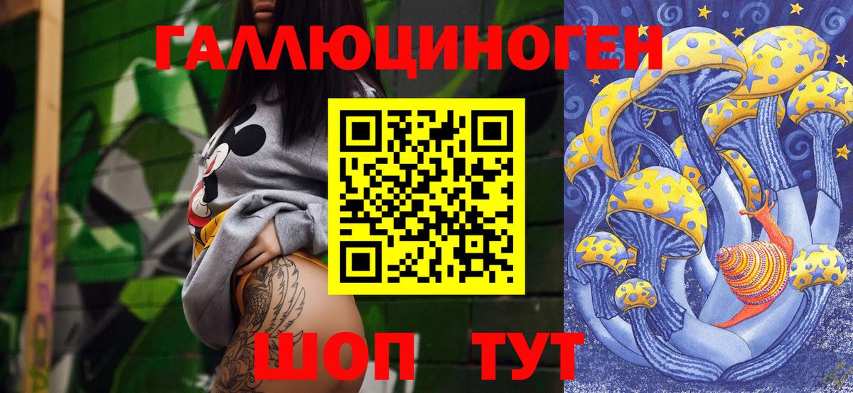 Псилоцибиновые грибы Psilocybe Балтийск