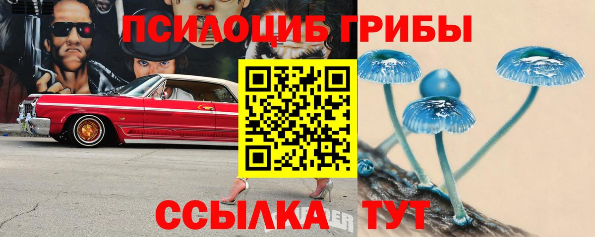 Псилоцибиновые грибы MAGIC MUSHROOMS  Балтийск  Псилоцибиновые грибы Psilocybe 