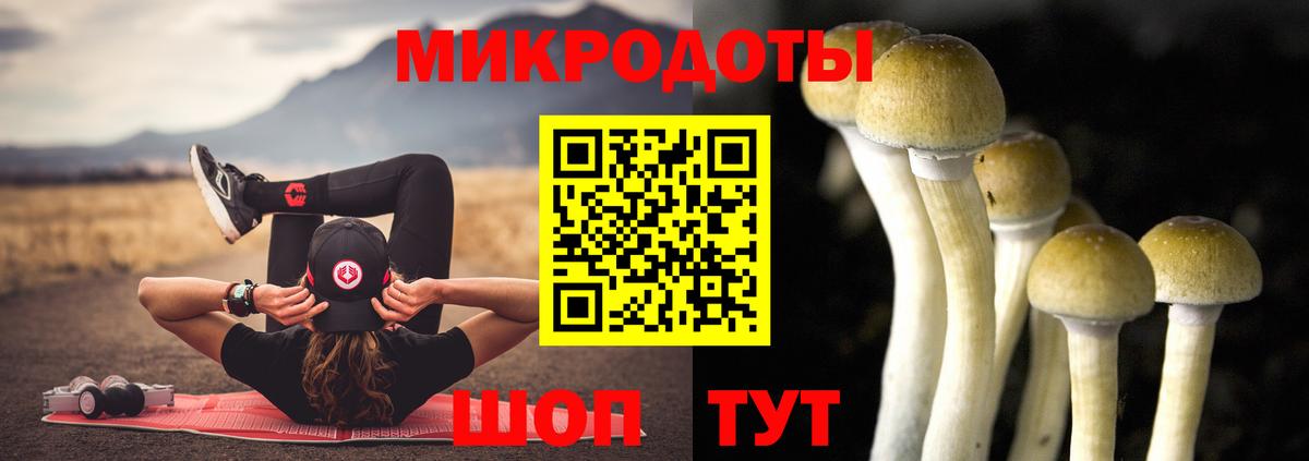 Галлюциногенные грибы ЛСД  Галлюциногенные грибы мицелий  Балтийск  Вход с VPN 