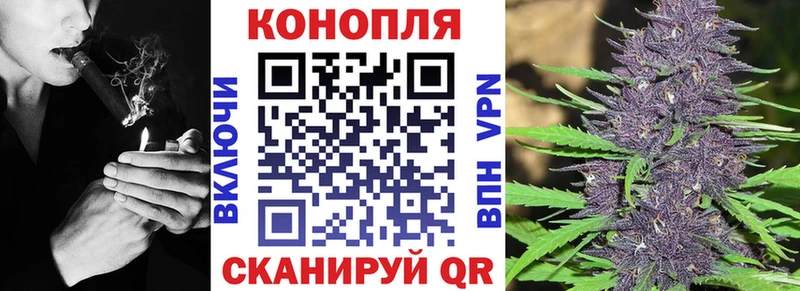 Марихуана конопля  Балтийск 