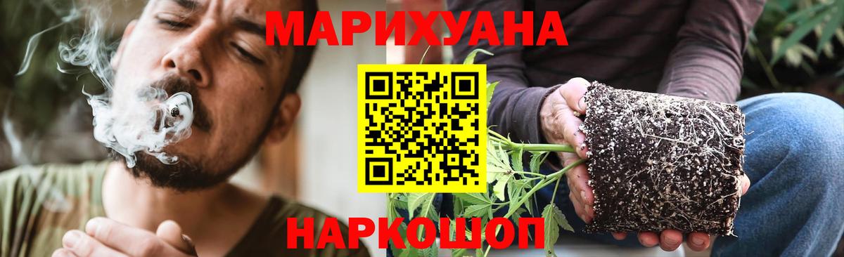 A PVP Балтийск